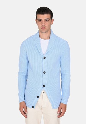 Cardigan lavorato a maglia di un blu chiaro, con colletto a scialle, bottoni frontali e polsini a costine. Presenta un motivo testurizzato e una vestibilità rilassata.