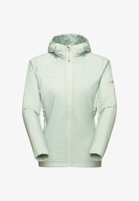 Ej vald, silver sage