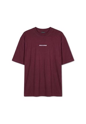 Pegador, BRACY HEAVY OVERSIZED TEE - T-shirt basique - rot