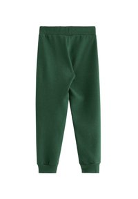 Pantaloni della tuta in cotone verde con vita e polsini elasticizzati, caratterizzati da una superficie liscia e un design semplice. Nessun motivo o dettaglio presente.
