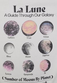 Grafisk tryck med nio planetmånar: varierande cirkulära mönster i dämpade färger, märkta med namn, på en vit bakgrund.