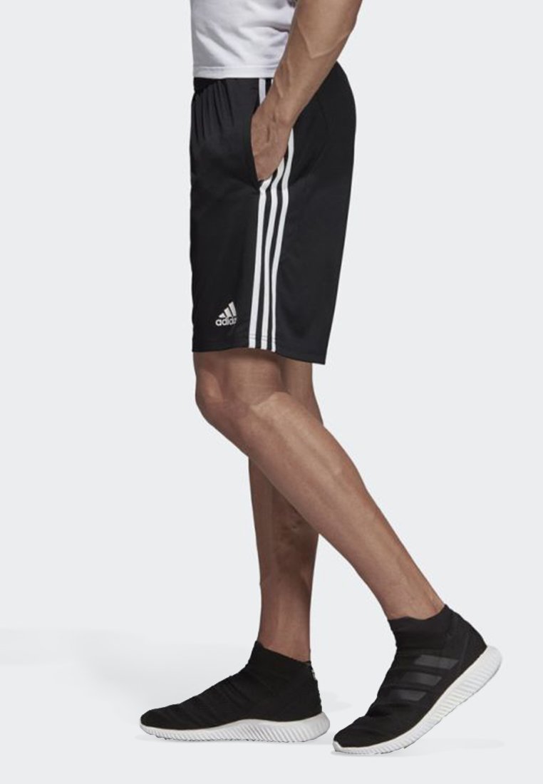 adidas Performance Tiro 19 Training Shorts - kurze Sporthose -  black/schwarz - Zalando.de