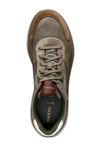 Sneaker marrone e verde realizzata in suede e materiale mesh. Presenta punta rotonda, design con lacci e logo GEOX sulla linguetta e sulla soletta.