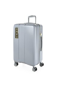 Maleta dura plateada con diseño vertical, ruedas multidireccionales y asa retráctil. Presenta el logo de DKNY en dorado.