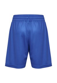 Blå atletiska shorts i ett mjukt tyg, med elastisk midja och raka fållar, utan ytterligare mönster eller detaljer.