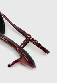 Φουστίτσα από κρασιού παπιού με τακούνι kitten και λουράκι στον αστράγαλο με ασήμι πόρπη σε λευκό φόντο.