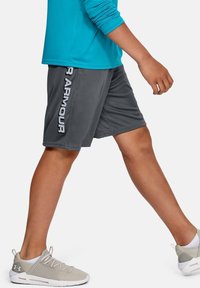 Under Armour Urheilushortsit - grey