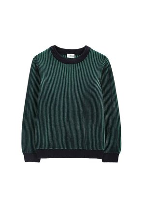 Coccodrillo, - Sweter