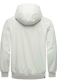 Lichtgrijze hoodiejack met een gladde textuur, elastische manchetten en zoom. Heeft een eenvoudig, minimalistisch ontwerp zonder zichtbare hardware of accenten.