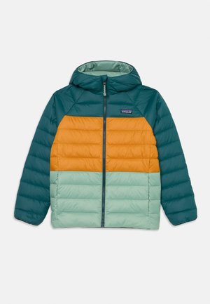 REVERSIBLE HOODY UNISEX - Pūkinė striukė - ellwood green