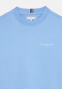 Svetlomodrá mikina so žebrovaným okrúhlym výstrihom a malým bielym logom "Tommy Hilfiger" na hrudi. Obsahuje červené a modré akcentné pruhy na golieri.