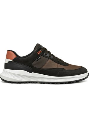Geox Zapatillas - dark coffee