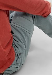 s.Oliver PELLE REGULAR FIT - Cargohose - schiefergrau
