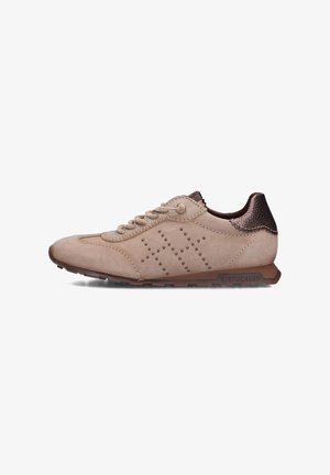 Hispanitas, HISPANITAS DAMES LAGE SNEAKERS HI264964 - C007. - Baskets basses - velour-i castoro bolero-i castoro bolmet-i topo
