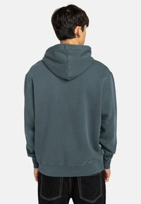 Hooded sweatshirt in a muted teal color, featuring a pullover design and soft fabric with ribbed cuffs and hem. Rear view displayed.