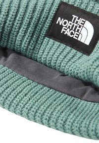 The North Face SALTY LINED BEANIE - Beanie - dark green