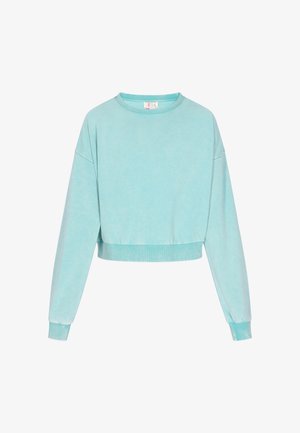 Light blue cropped sweatshirt with long sleeves, ribbed cuffs, and round neckline. Made from soft fabric, featuring a smooth texture.
