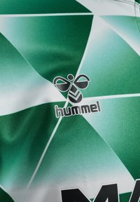 Grön sporttröja med ett geometriskt mönster i olika nyanser, med en svart "hummel"-logotyp i mitten. Slät, syntetisk textur.