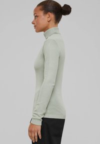 Hellgrüner, taillierter Rollkragenpullover mit langen Ärmeln, geripptem Kragen und Bündchen, hergestellt aus einem glatten, dehnbaren Stoff.