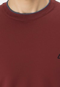 Felpa bordeaux con collo a girocollo a costine e un accento blu. Include un piccolo logo nero sul davanti. Tessuto morbido.