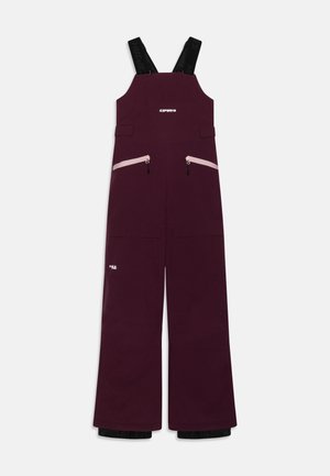 Icepeak LOURDES  - Pantalons de ski - plum