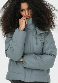 Chaqueta acolchada en gris claro con cuello alto, cierre de cremallera y puños elásticos; presenta patrones de costura prominentes y bolsillos laterales.