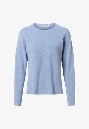 Light blue knitted sweater with long raglan sleeves and a round neckline. Features a textured fabric with a subtle ribbed pattern.