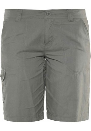 Shorts - grey