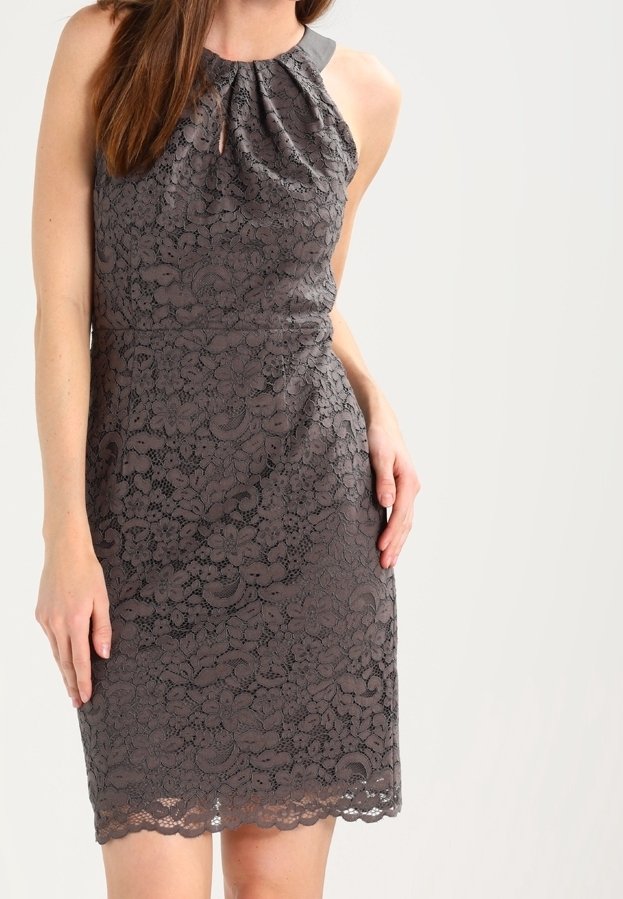 Robe en dentelle grise avec une silhouette ajustée, présentant un corsage plissé, un décolleté en goutte d'eau et un ourlet festonné. Tissu lisse accentué aux épaules.