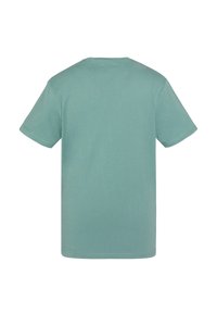 Camiseta de algodón verde menta con mangas cortas, cuello redondo y un corte holgado. Textura suave y diseño sencillo, sin patrones ni acentos visibles.