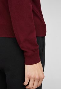 Rechte Hand entspannt an der Seite, trägt einen dunkelroten Pullover mit langen Ärmeln und schwarze Hose, vor einem einfarbigen hellgrauen Hintergrund.