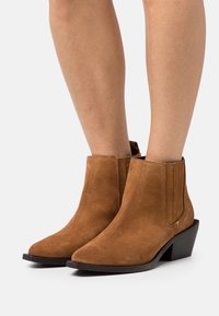 Bottines en suède marron avec un bout pointu, des panneaux latéraux élastiques et un petit talon empilé. Texture lisse avec des détails matériels minimaux.