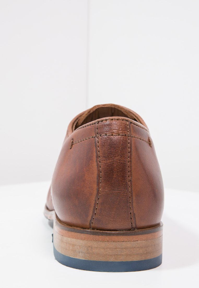 derbies salamander