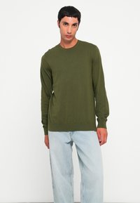 Groene gebreide trui met een ronde halslijn, lange mouwen en geribbelde boorden. Gecombineerd met lichtblauwe jeans, tegen een eenvoudige witte achtergrond.