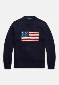 THE ICONIC FLAG SWEATER UNISEX - Džemperis - hunter navy