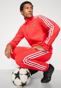adidas Originals BENFICA ICON TRACK PANT - Klubbklær - benfica red