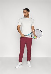 Vīriešu gaiši pelēks teksturēts sporta krekls ar īsām piedurknēm, kombinēts ar tumši sarkaniem šauriem biksēm. Rokās tur tenisista raketi un bumbu.