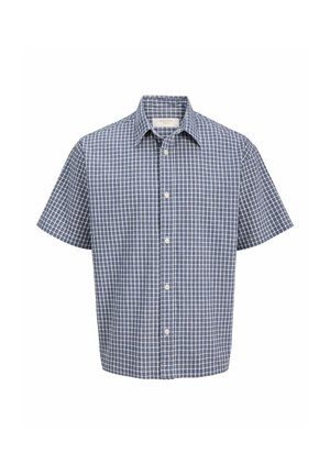 Short-sleeve button-up shirt with blue and white checkered pattern and pointed collar, displayed against a white background.