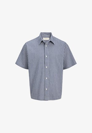 Short-sleeve button-up shirt with blue and white checkered pattern and pointed collar, displayed against a white background.