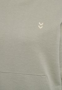 Le hoodie vert clair présente une texture douce, une poche kangourou et un petit logo brodé dans une teinte plus claire. Design lisse et décontracté.