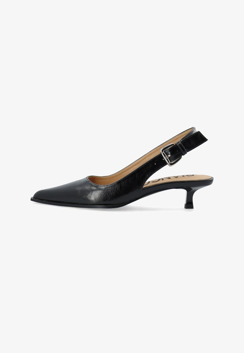 Zwarte leren slingback schoen met spits toelopende neus, lage kittenhak en verstelbare zilveren gespsluiting op witte achtergrond.