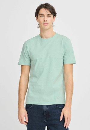 Lys grønn bomulls-T-skjorte med rund hals og korte ermer, med en glatt tekstur og rett nederkant. Kombinert med mørke jeans.