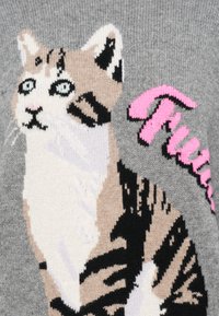 Pull en laine gris avec un motif d'un chat aux rayures beige et noires, accompagné d'une inscription en rose qui dit « Future ». 