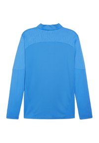 Langarmshirt in leuchtendem Blau mit einem strukturierten Einsatz im oberen Rücken, glattem unteren Bereich und klassischem Kragendesign.