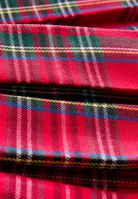 Rött tartantyg med vertikala och horisontella linjer i grönt, blått, gult och svart. Strukturerad väv med en mjuk textur.
