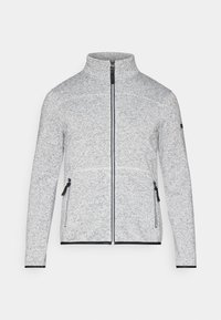 Icepeak ADRIAN - Sudadera con cremallera - light grey