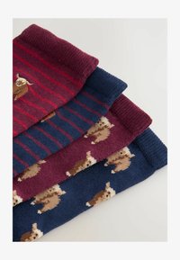 Selected, berry hamish the highland cow