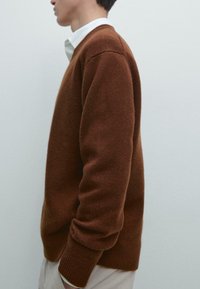 Profiel van een persoon die een bruine gebreide trui draagt over een wit overhemd met kraag, tegen een effen lichte achtergrond.