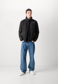 Tommy Jeans ESSENTIAL QUILTED JACKET  - Vinterjacka - black