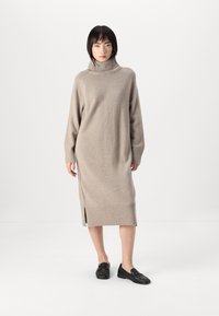 GANT DETAIL ROLLNECK DRESS - Abito in maglia - warm grey